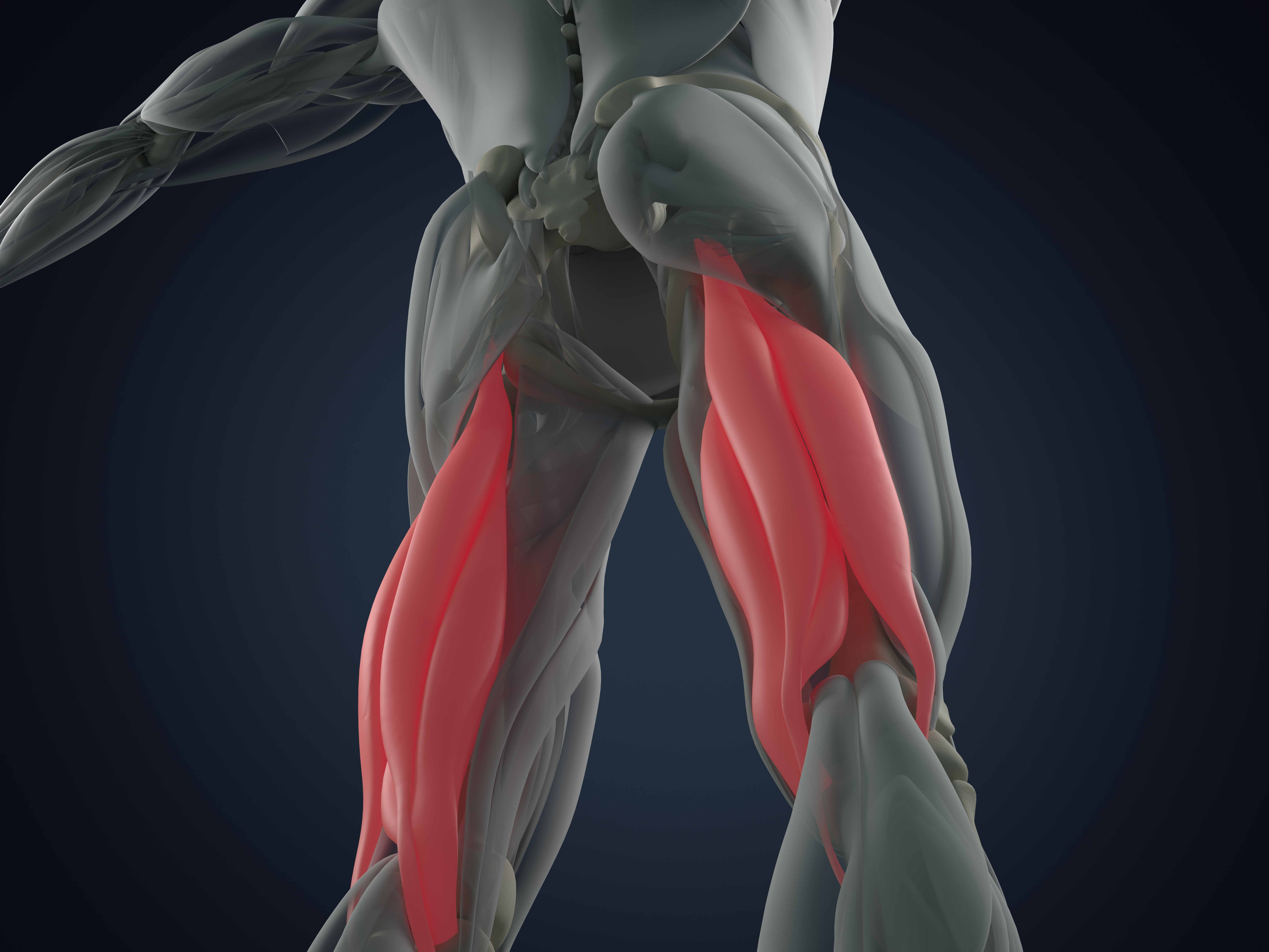 Hamstring Injuries In Sprinters Explained Canadian Chiropractor